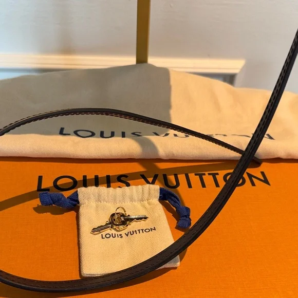 Louis Vuitton Alma BB in Damier Ebene Canvas Authentic (few months old) - Picture 5 of 17